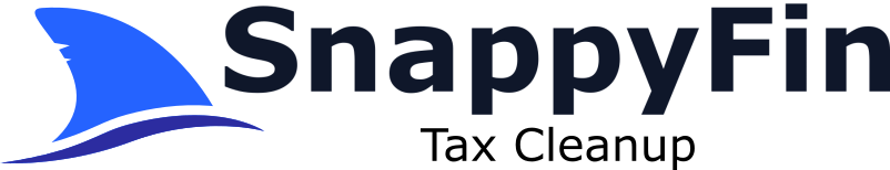 SnappyFin Tax Cleanup
